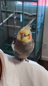 DJI_20250518122200_0411_D_exported_27060