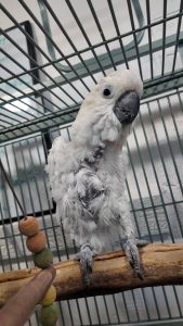 DJI_20250625142302_0645_D_exported_25191