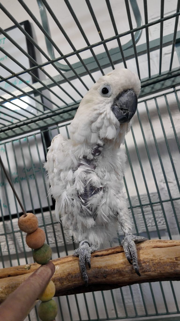 DJI_20250625142302_0645_D_exported_25191