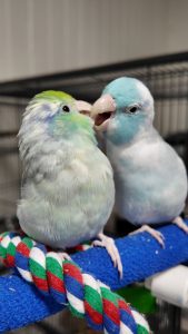 DJI_20250716102903_0720_D_exported_10343