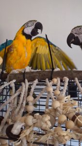 PXL_20250819_230302194_exported_10809