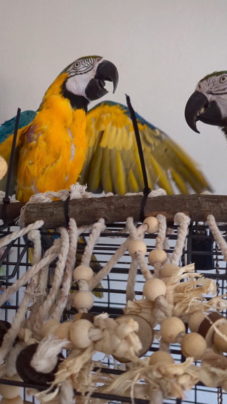 PXL_20250819_230302194_exported_10809