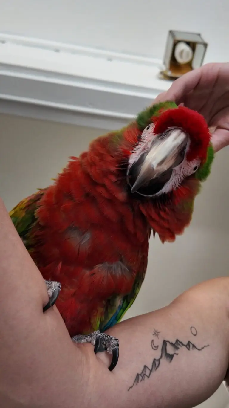 DJI_20250316122309_0046_D_exported_29813 (1)