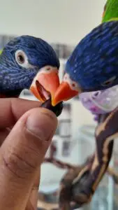 DJI_20250506104823_0310_D_exported_5138