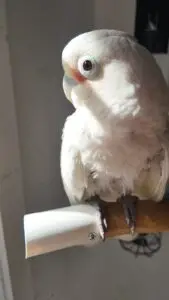 DJI_20251111111314_0124_D_exported_13513 (1)