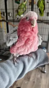 DJI_20251120110234_0172_D_exported_6990