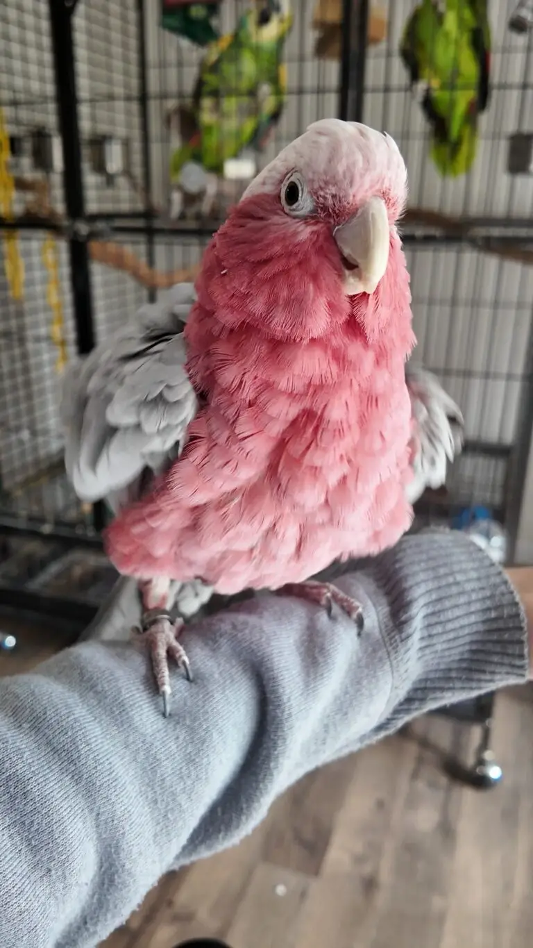 DJI_20251120110234_0172_D_exported_6990