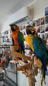 DJI_20251130144721_0269_D_exported_2435