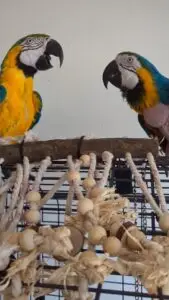 PXL_20250819_230302194_exported_11376~2 (1)