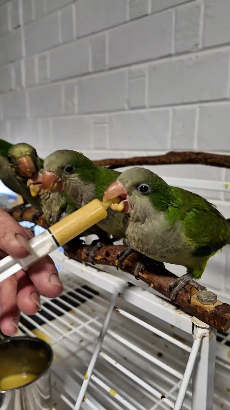 lv_0_20250630225915_exported_5216